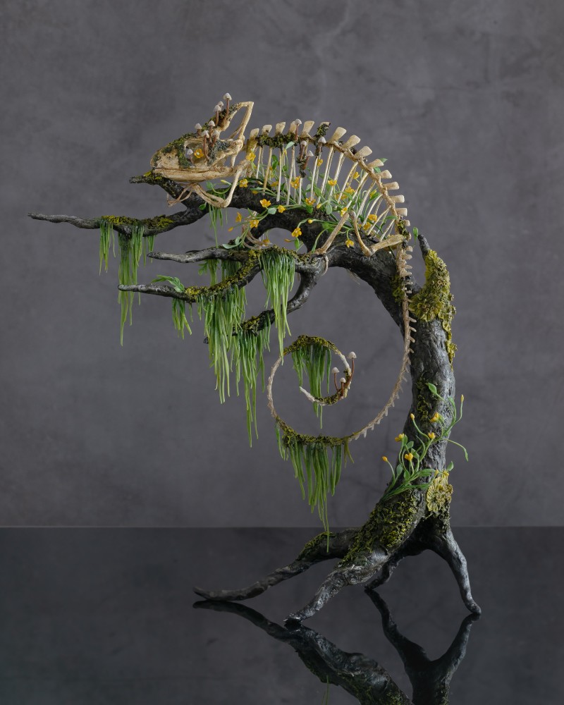 Handmade Statue of chameleon skeleton 