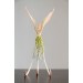 Handmade Phoenix Statue bird made of air clay. Pink and green bird