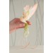 Handmade Phoenix Statue bird made of air clay. Pink and green bird