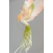 Handmade Phoenix Statue bird made of air clay. Pink and green bird