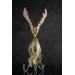 Pink and green phoenix statue bird by handmade 