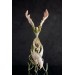 Pink and green phoenix statue bird by handmade 