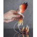 Handmade Phoenix Statue bird made of air clay. Fire bird