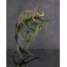 Handmade Statue of chameleon skeleton made of air clay