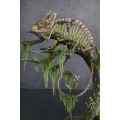 Handmade Statue of chameleon skeleton made of air clay