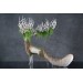 Handmade White stag statue, handmade One-of-a-kind 