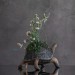 Handmade tortoise statue with flowers peony and hummingbirds figurines
