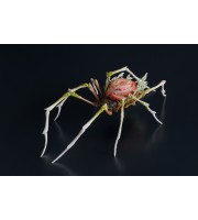 Handmade spider sculpture with a rose made of air clay.