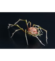 Handmade spider sculpture with a rose made of air clay.