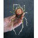 Handmade spider sculpture with a rose made of air clay.