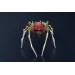 Handmade spider sculpture with a rose made of air clay.