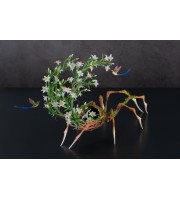 Handmade spider sculpture with lilies made of air clay