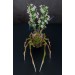 Handmade spider sculpture with lilies made of air clay