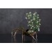 Handmade spider sculpture with lilies made of air clay