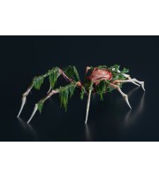 Handmade spider sculpture with a rose and moss made of air clay