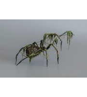 Black spider sculpture with a moss