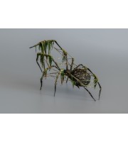 Black spider sculpture with a moss