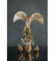 Owl with a fire butterfly
