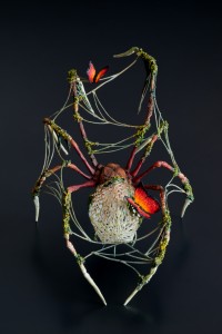 Black spider with a fire butterfly