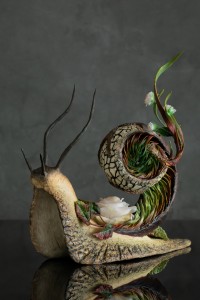 Snail with roses
